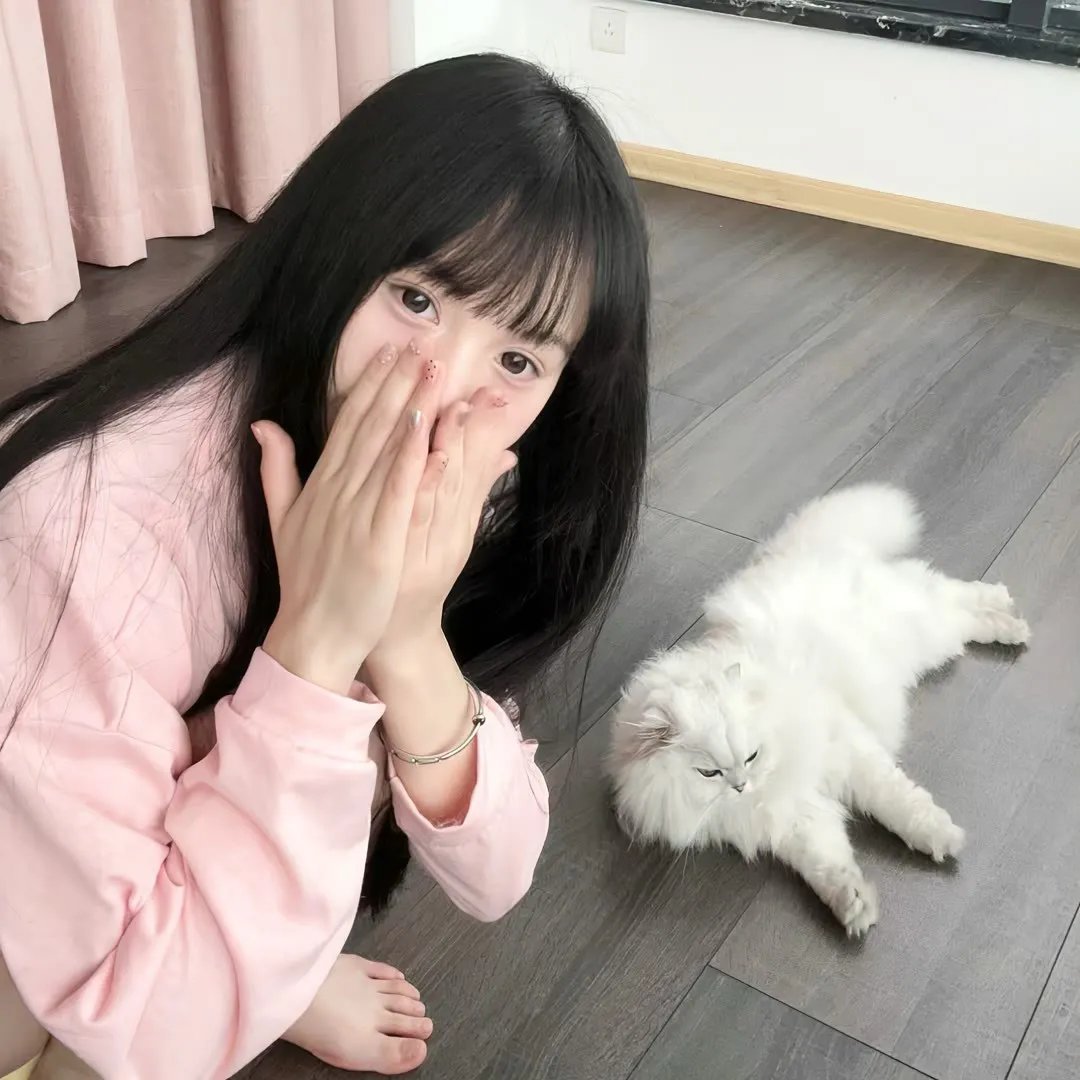 总统 在线观看